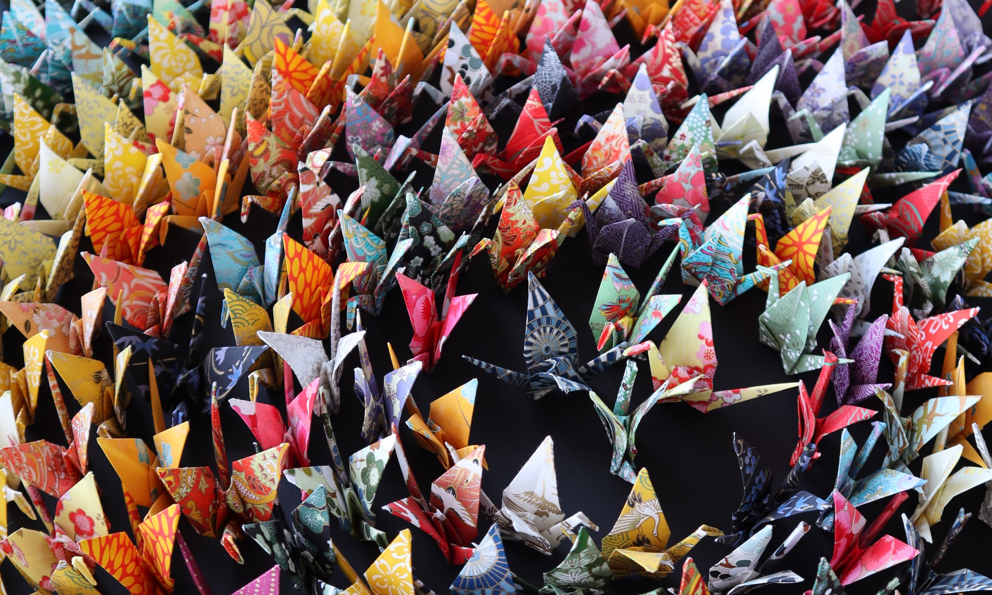 Origami assemblage by Toronto artist Andrew Wang